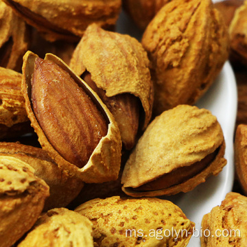 Kacang Almond Mentah Kelas Atas Borong